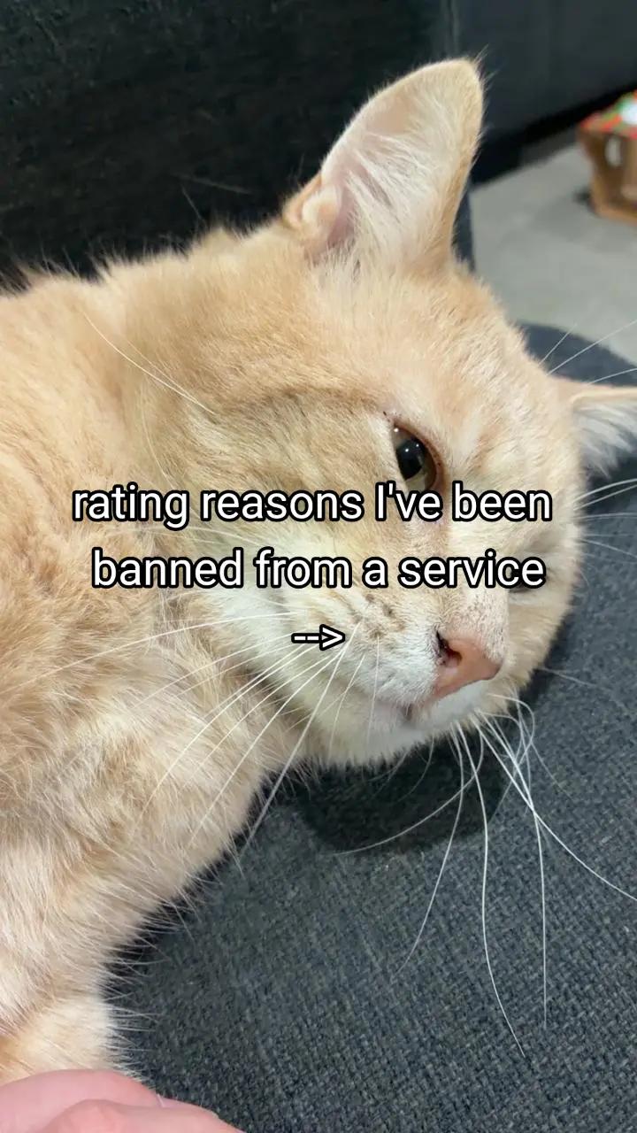 @Bryn but its the spam account