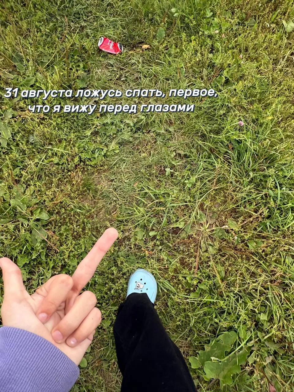 @dashikzz