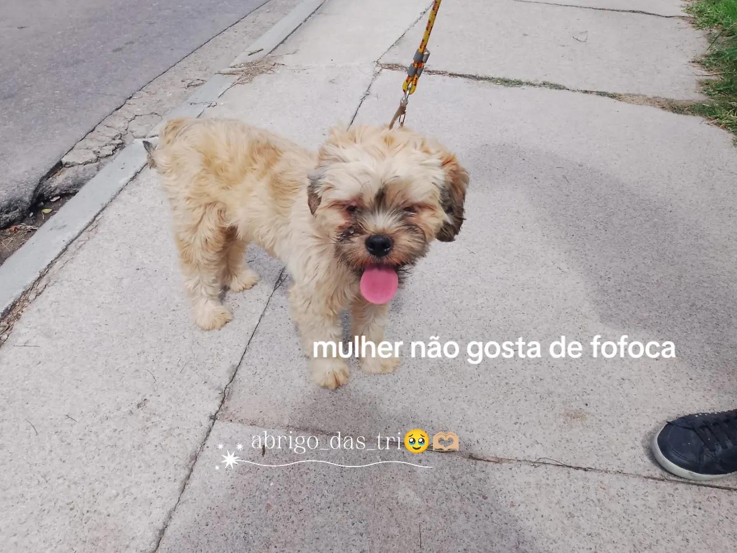 @Fᥴ_᥎ιᥴt᥆rιᥲ'bᥱrtrᥲᥒ