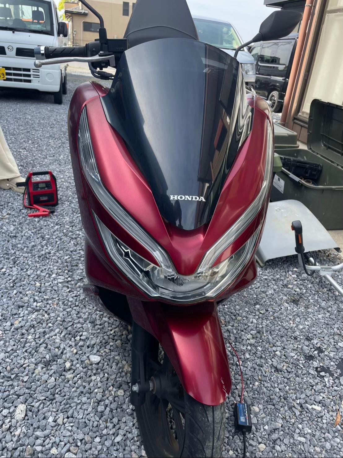 @ハーフ顔のゴキブリ🪳