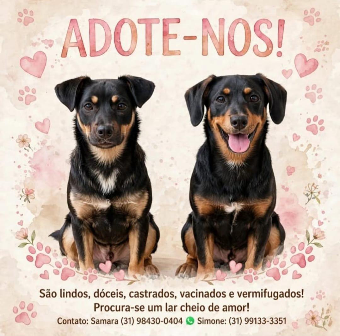@Pensamento_Alternado