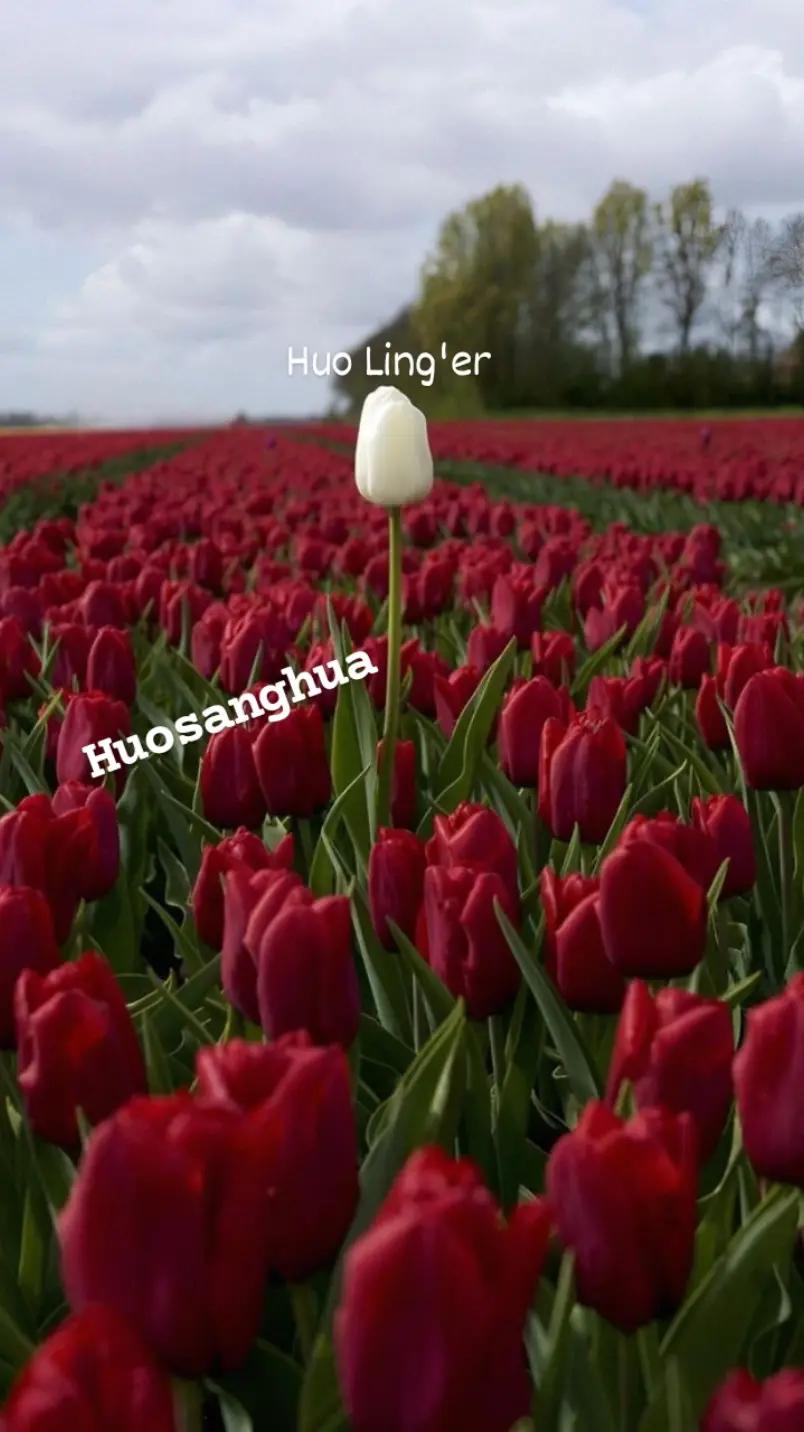 @๐จ๐๐๐๐๐ โ๐
๐๐ง๐ ๐๐ฎ๐๐