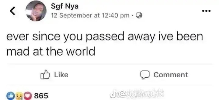 @alison😽