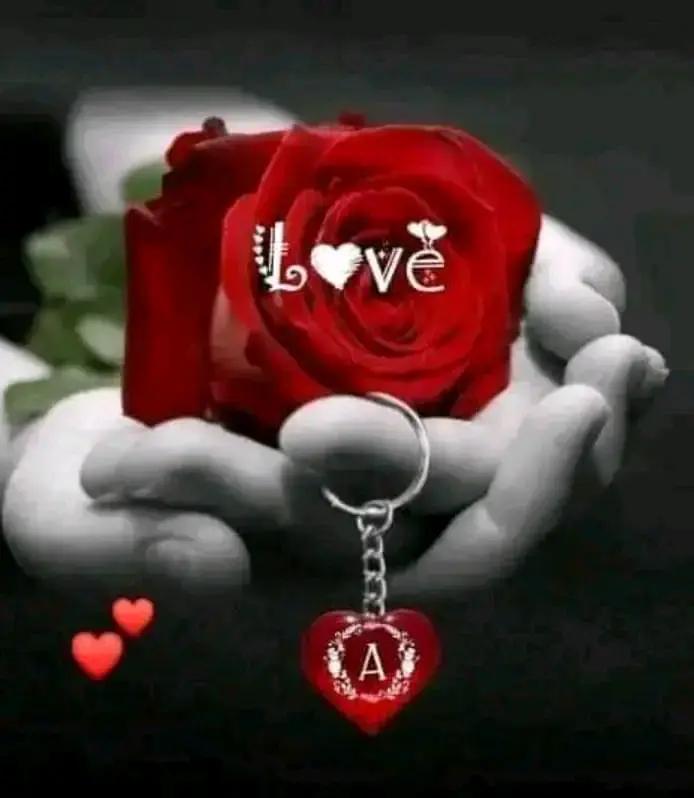 @bismamahroof.171