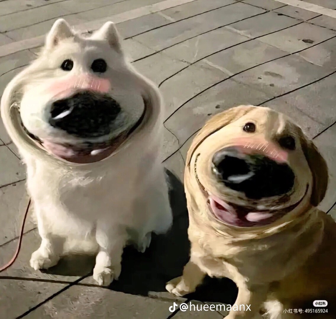 @Nhannnf