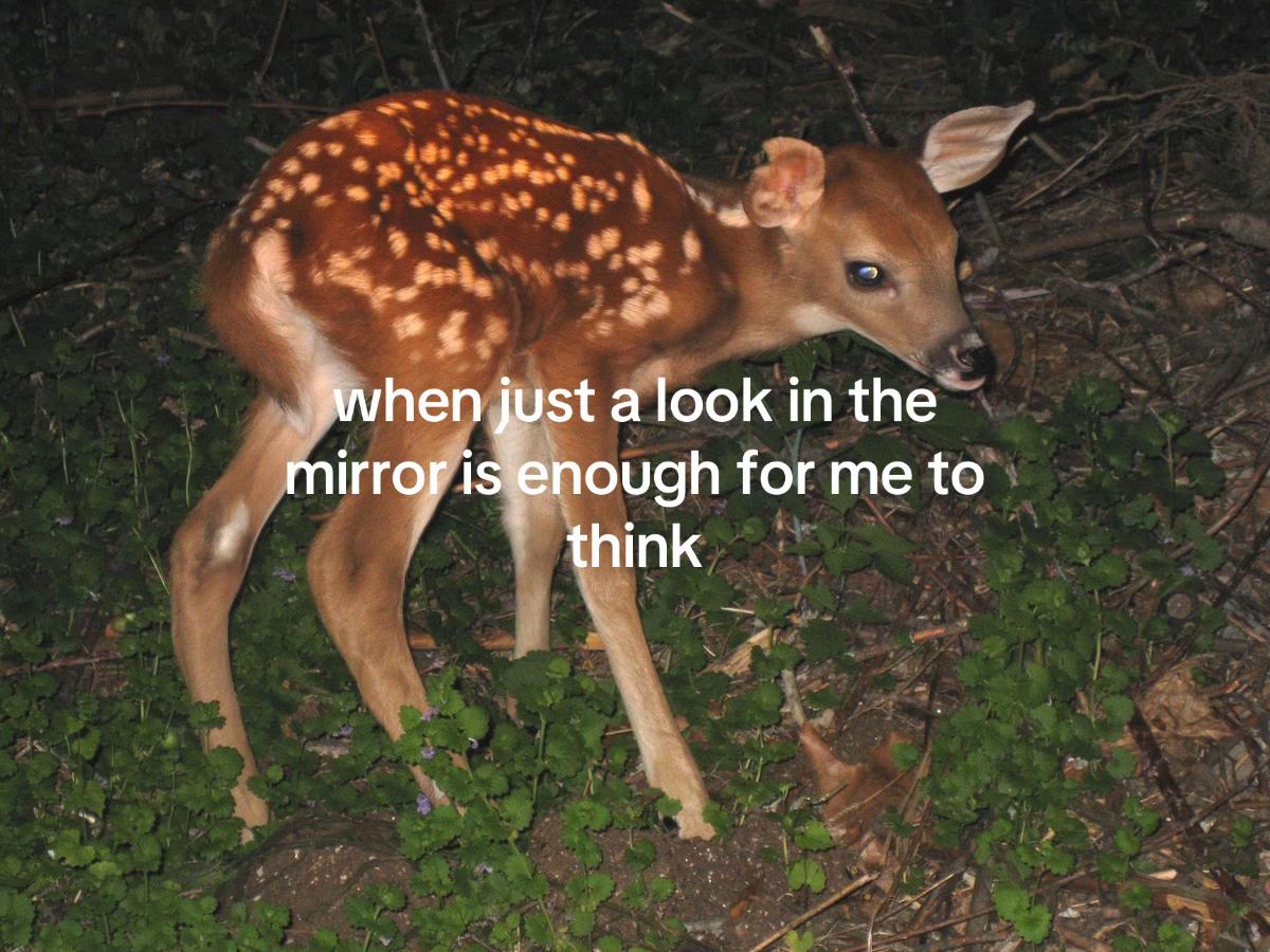 @︎
