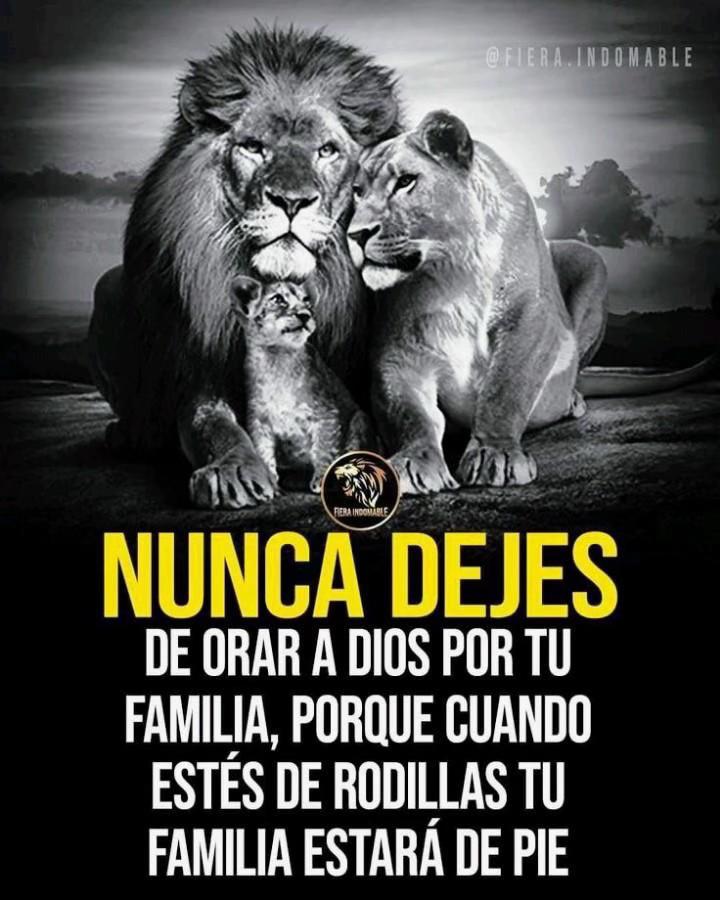 @Luzdedios8888