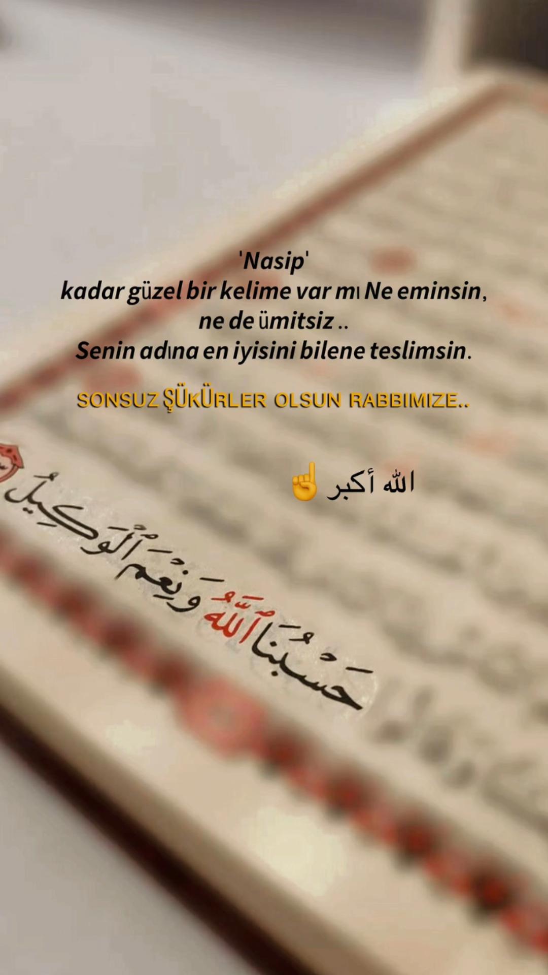 @ravzanur740