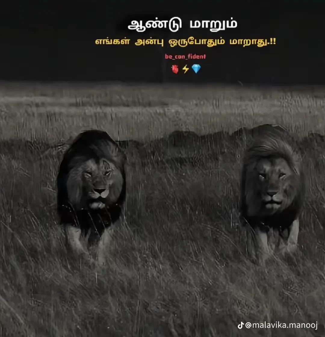 @🤍🌸 ^•DhIvYa •^ ❤️💐
