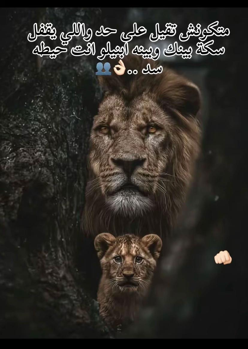 @﮼عموره 🇪🇬🐺