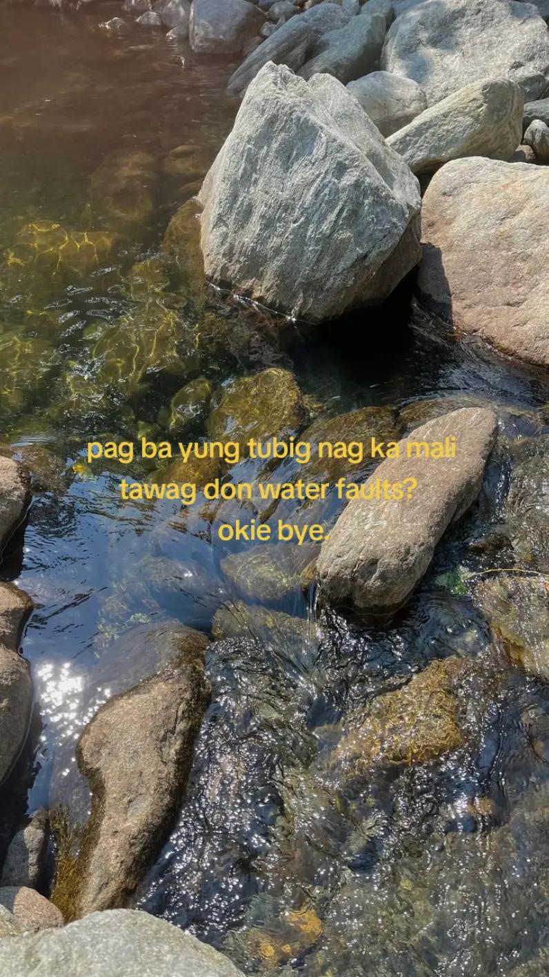 @Lev1