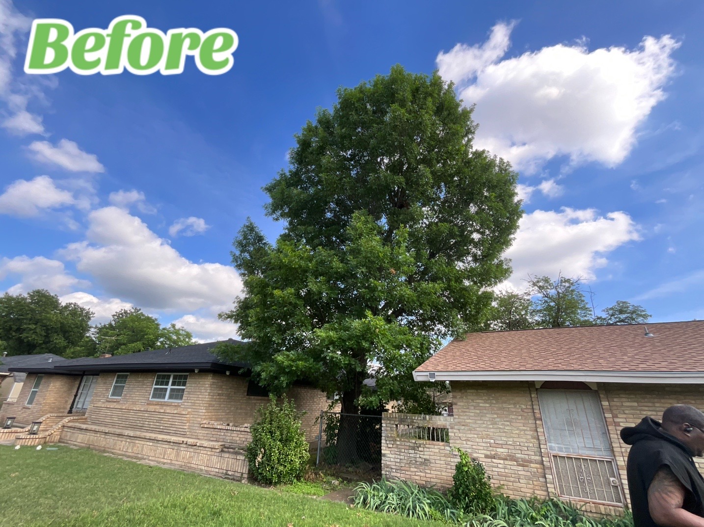 @Live Oak Tree Service