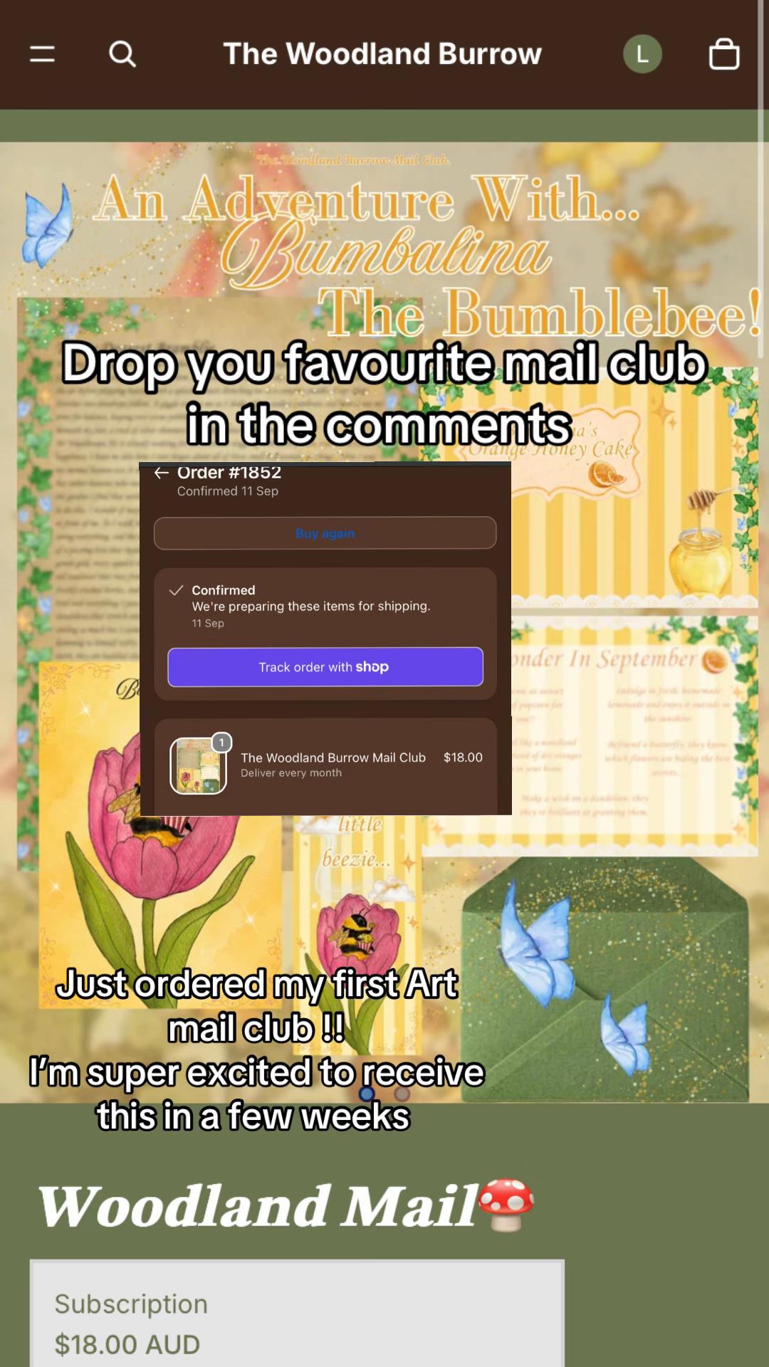 @Luminary Lilium
