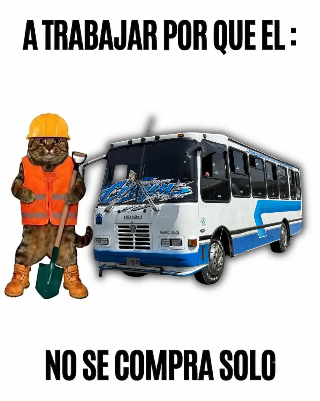@Rutecar
