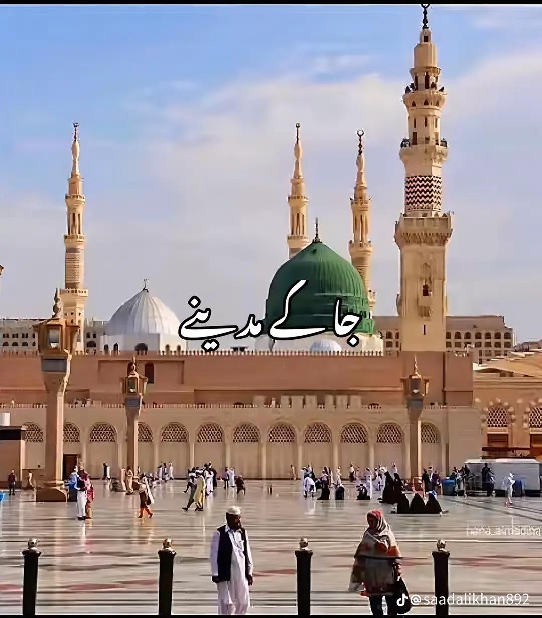 @ᴹʳJ𝐢𝐛𝐫𝐚𝐧 𝐦𝐚𝐧i arain ⚜️