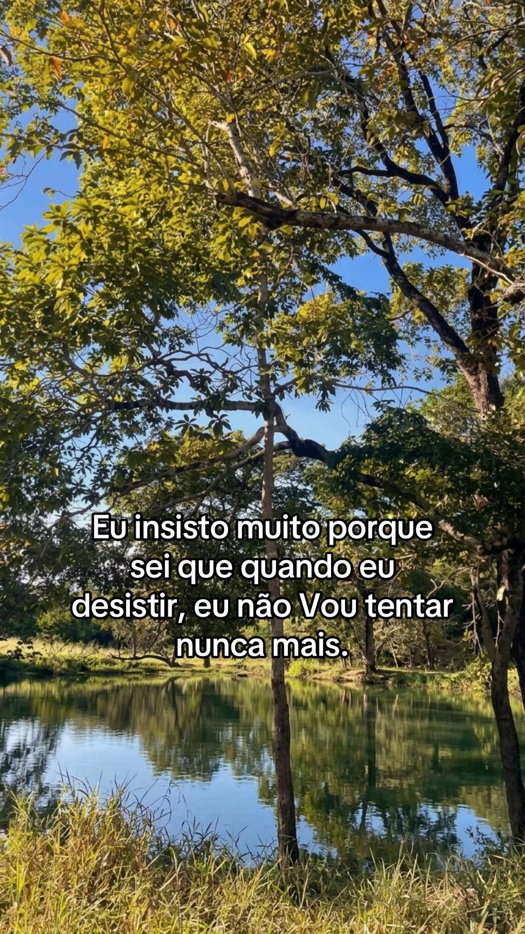 @saniel.monteiro.031