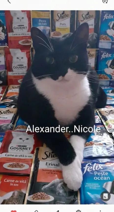 @Alexander..Nicole