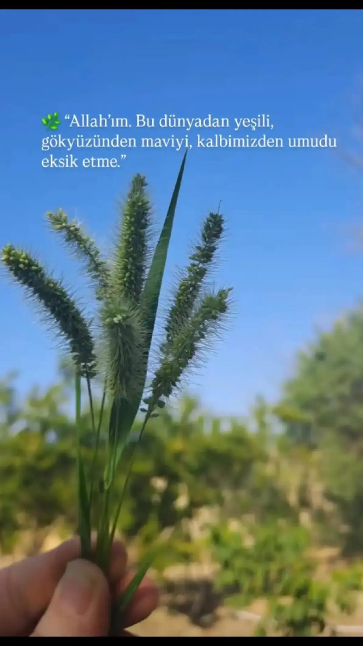 @Sessizlik