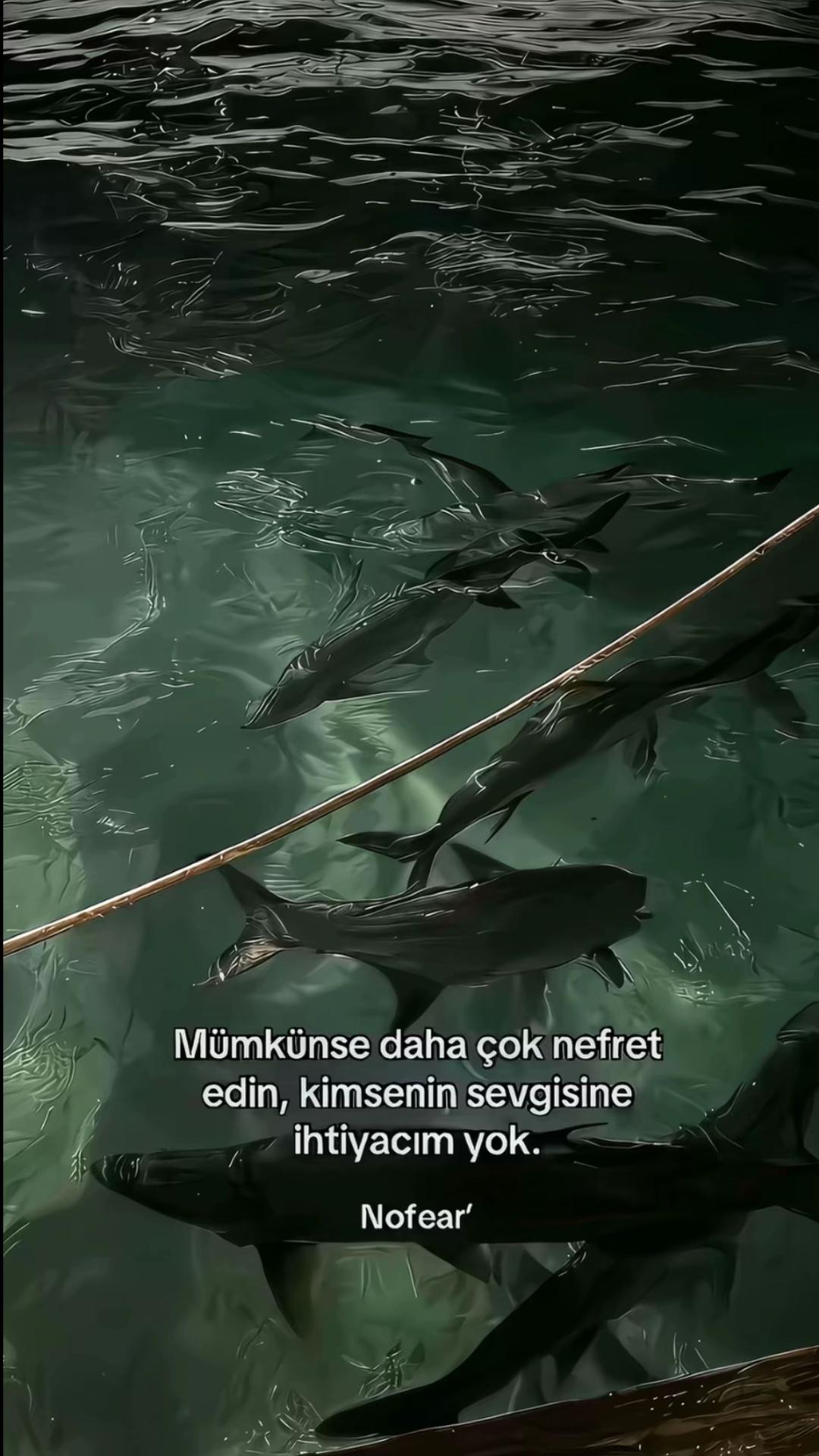@𝓐𝓭𝓪
