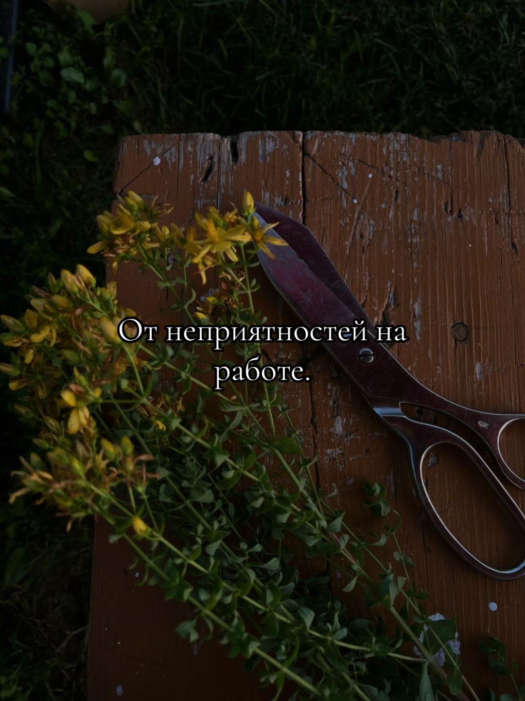 @ᚾ𝐀𝐍𝐀𝐒𝐓𝐀𝐒𝐈𝐘𝐀ᚾ