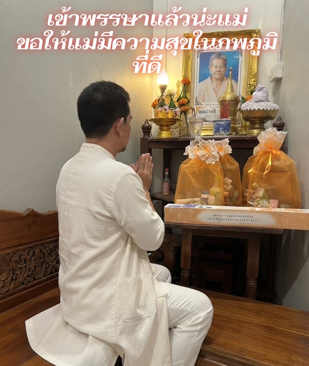 @บ้านแมวน้อยหอยสังข์ cattery