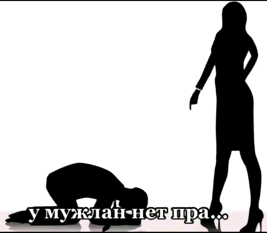 @palinaka