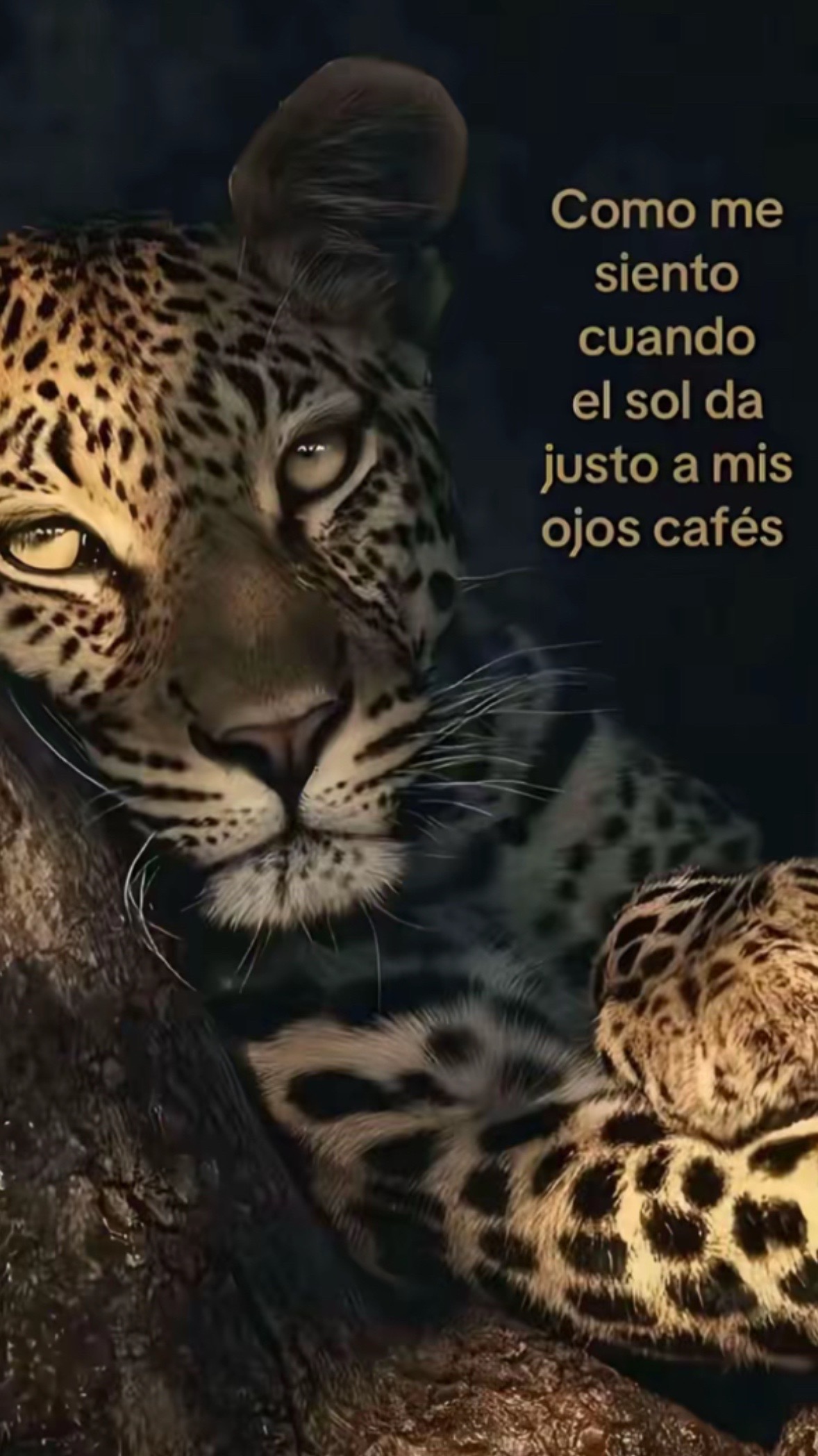 @Ichel_blb