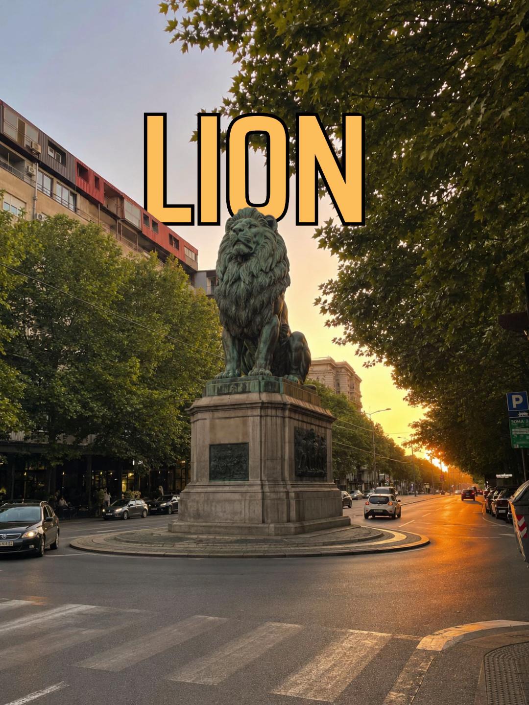 @Zvezdara | Lion ⛽️