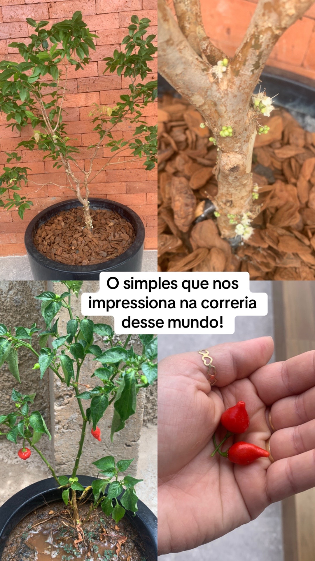 @Larissa Aparecida