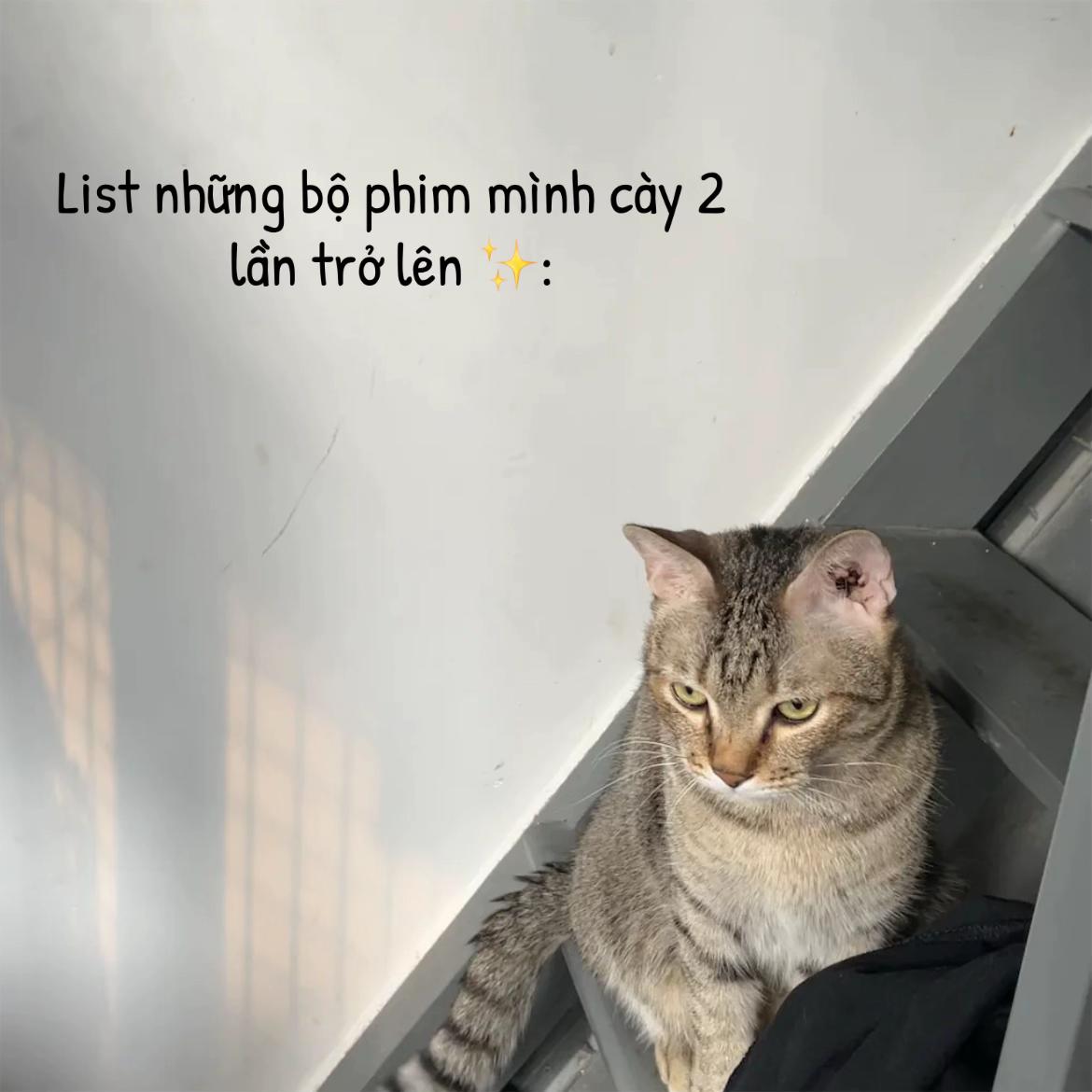 @M&ecirc; Phim H&agrave;n 📷