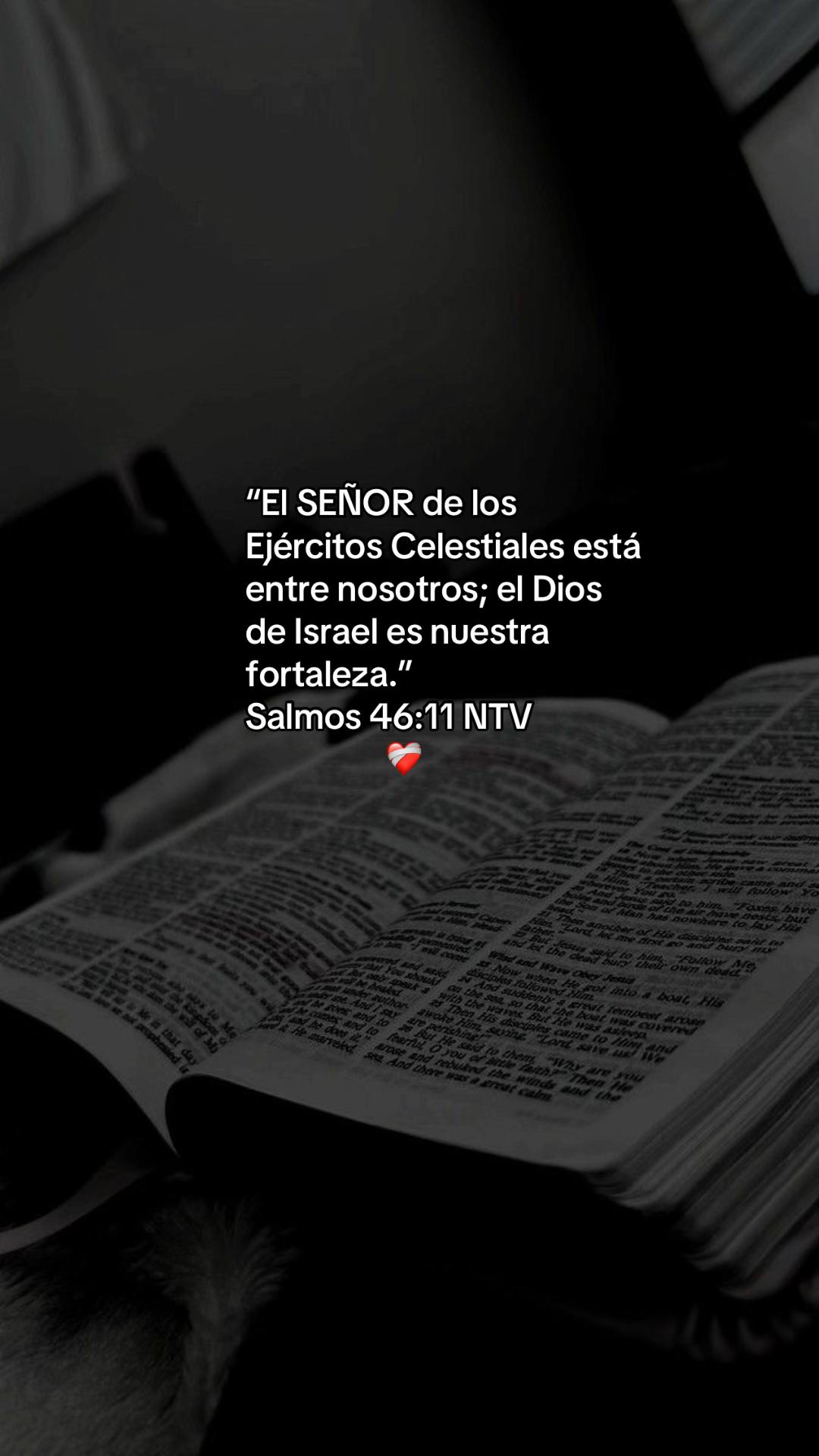 @Amando a Jes&uacute;s