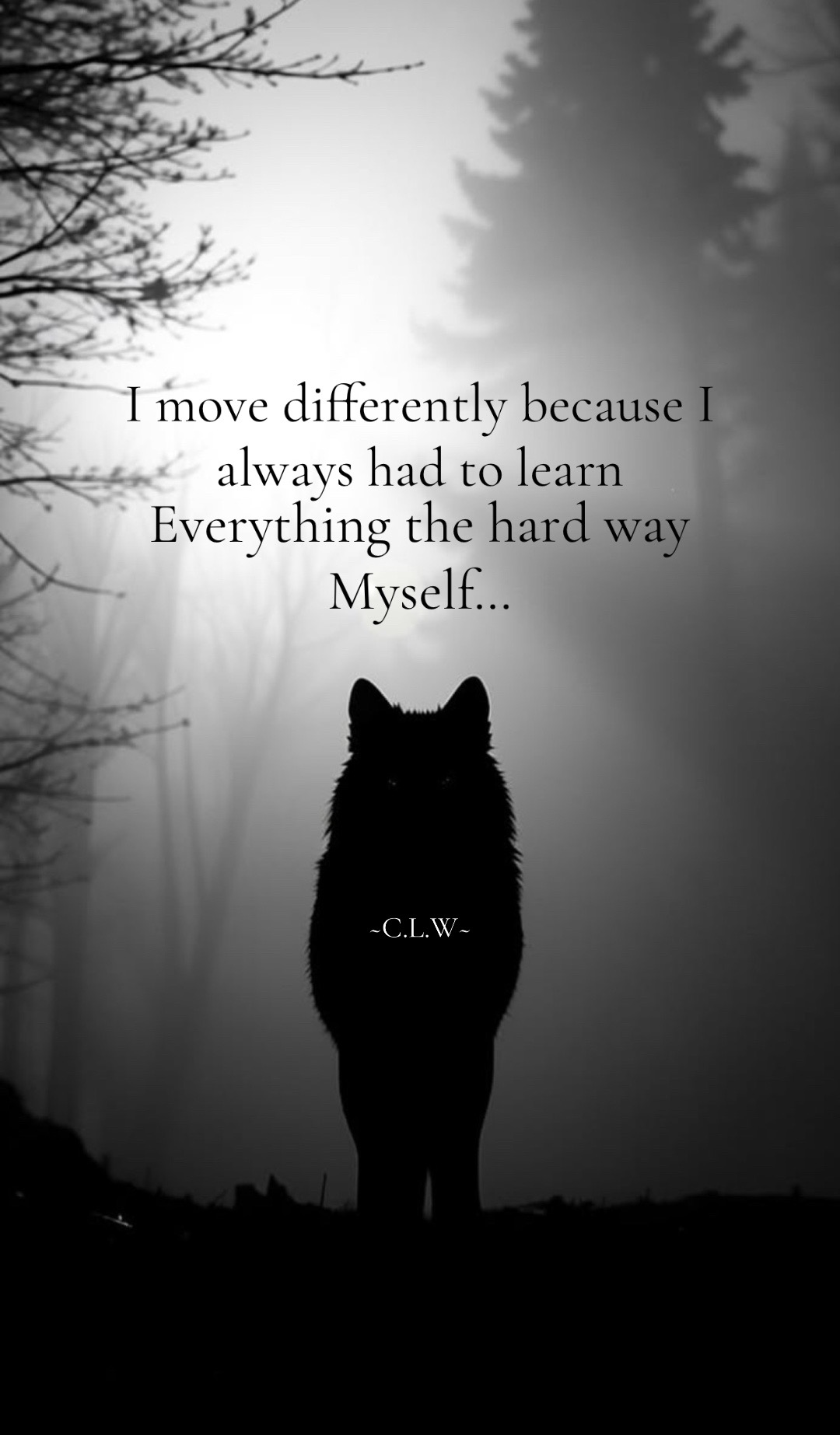 @🪬Conscious_LoneWolf🐺