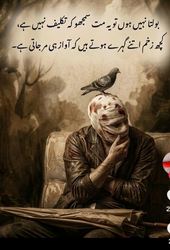 @Sahar Noor
