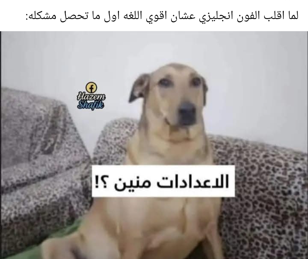 @ahmed