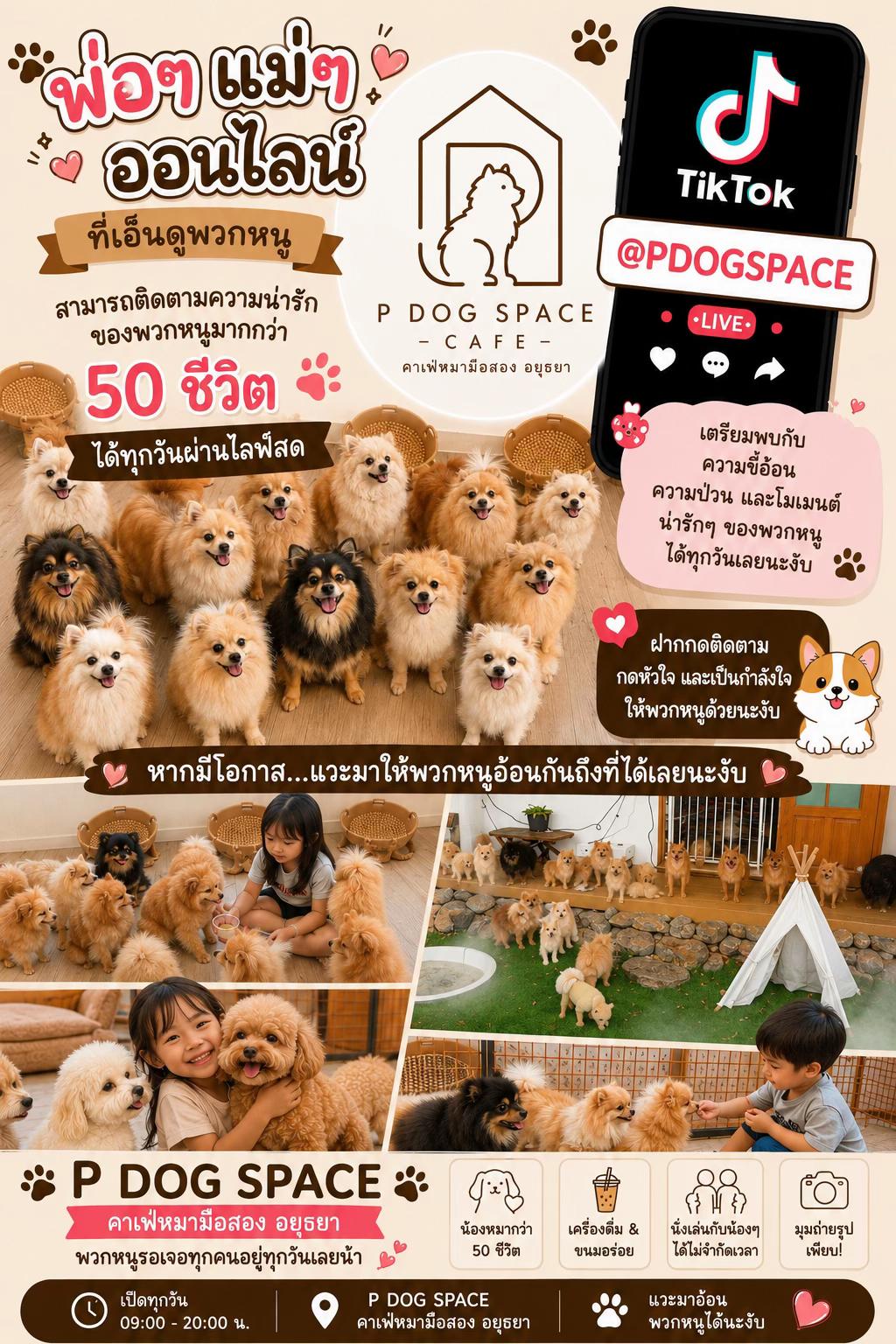 @P Dog Space คาเฟ่หมามือสอง 🐶