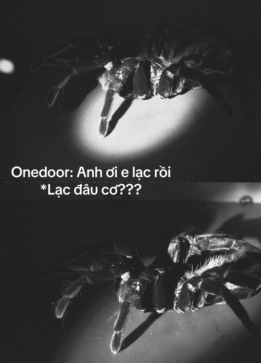 @Zai nh&agrave; b&ecirc;n