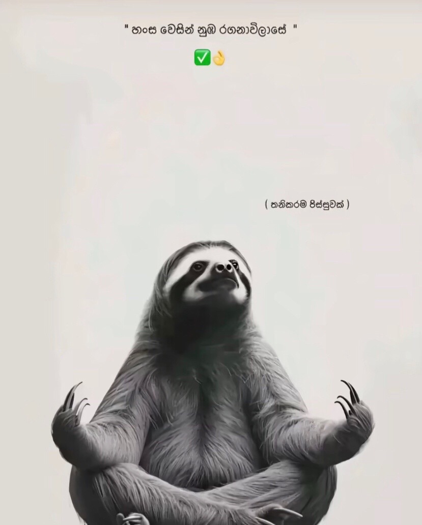 @𝓢 𝓗 𝓐 𝓝 𝓤 🪭