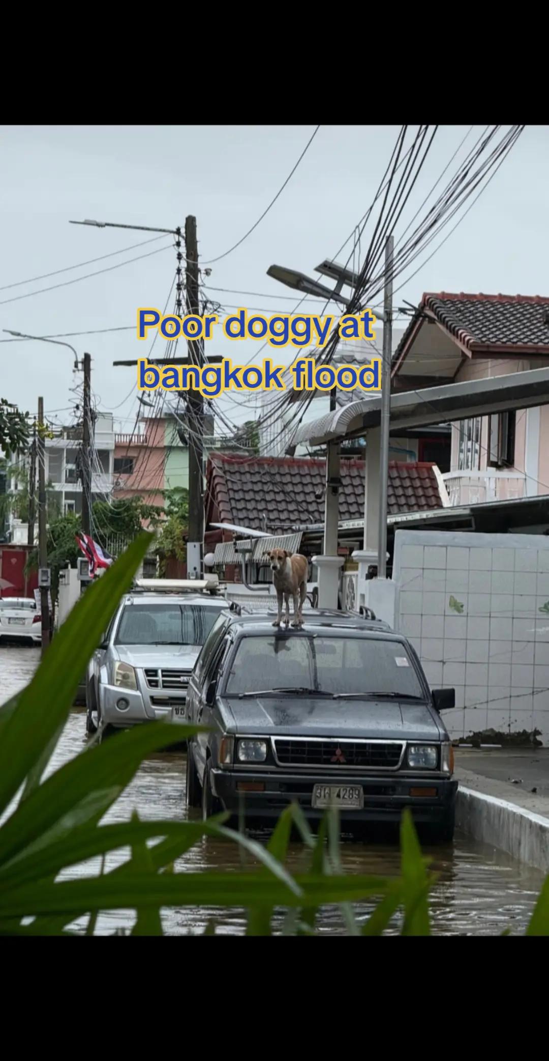 @Dennis Teo