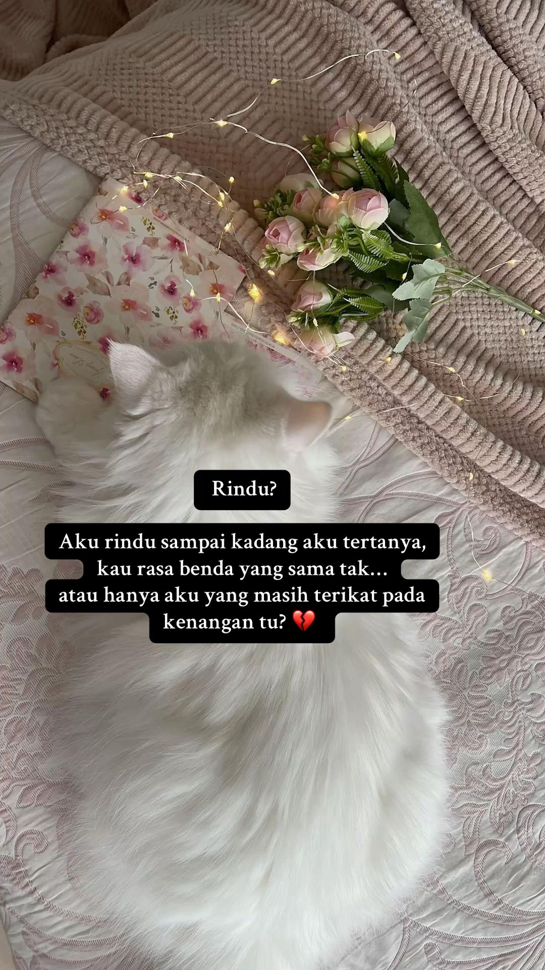 @Izzatyy_