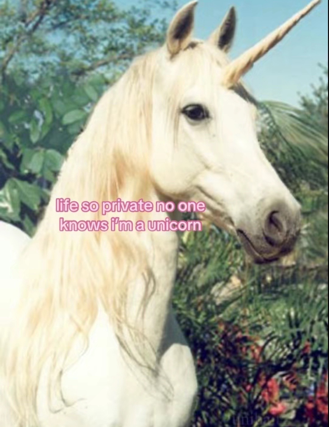 @𝓢❀