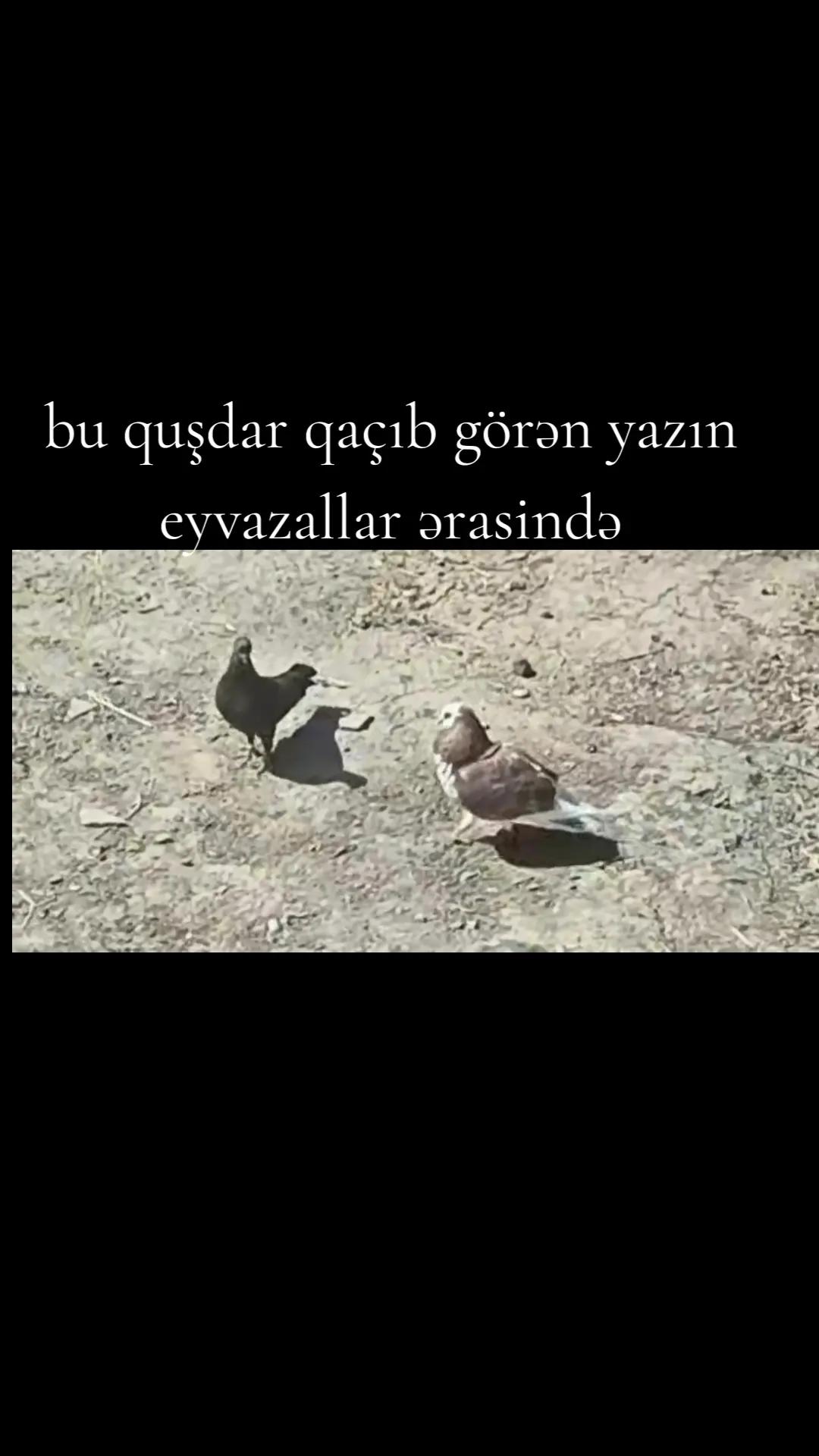 @🇦🇿 Fermer 11 🇹🇷