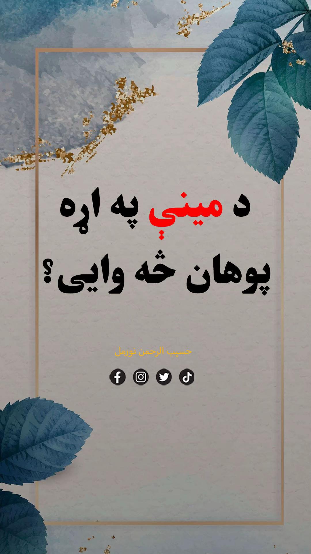 @Hasib Noor Mal