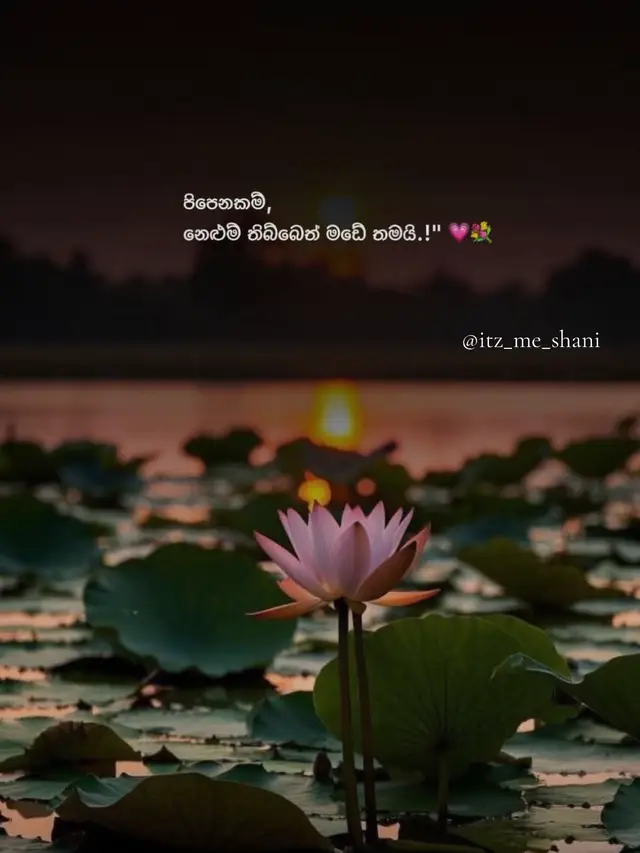 @ශානි | SHANI | ஷானீ_👀💗🌎"