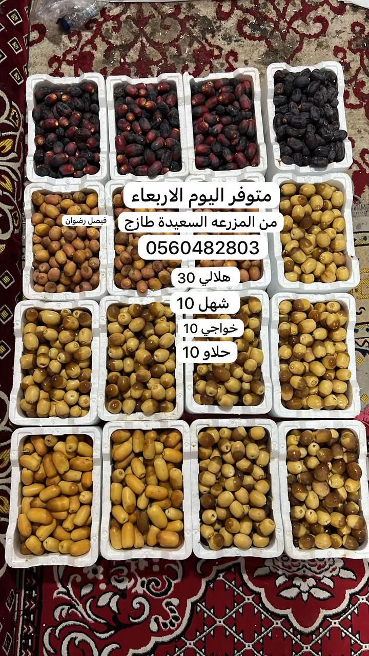 @ashkaltbiah