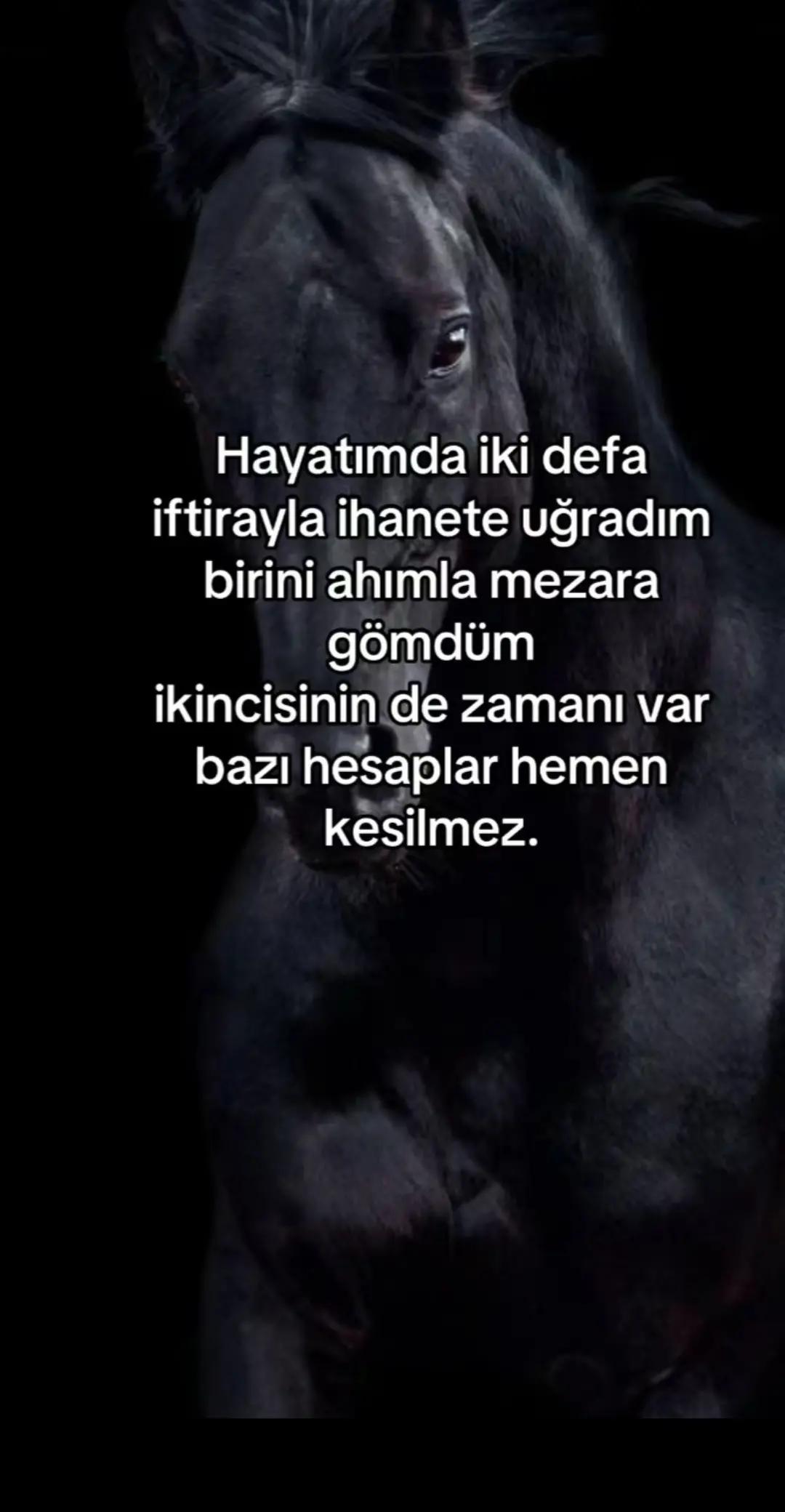 @☆🦋 ELİF.🦋☆