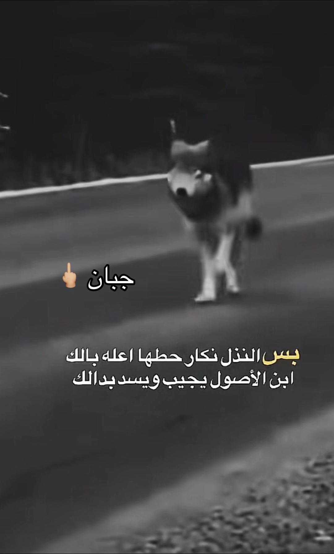 @عـبـدَوِ 🕊️⚜️