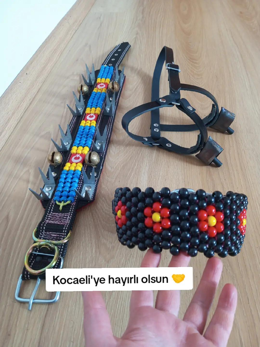 @Hasan Latifoğlu
