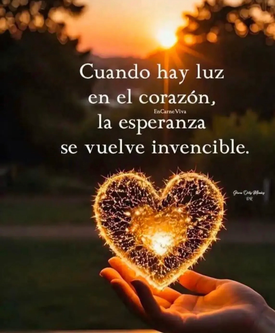 @Cllara f p.