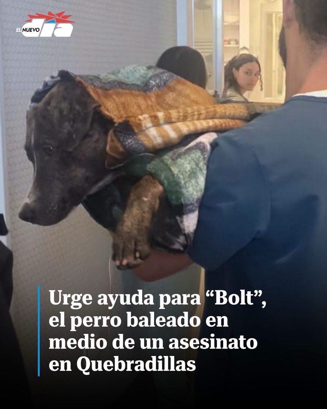 @NoticiasdelCielobyZ Oficial