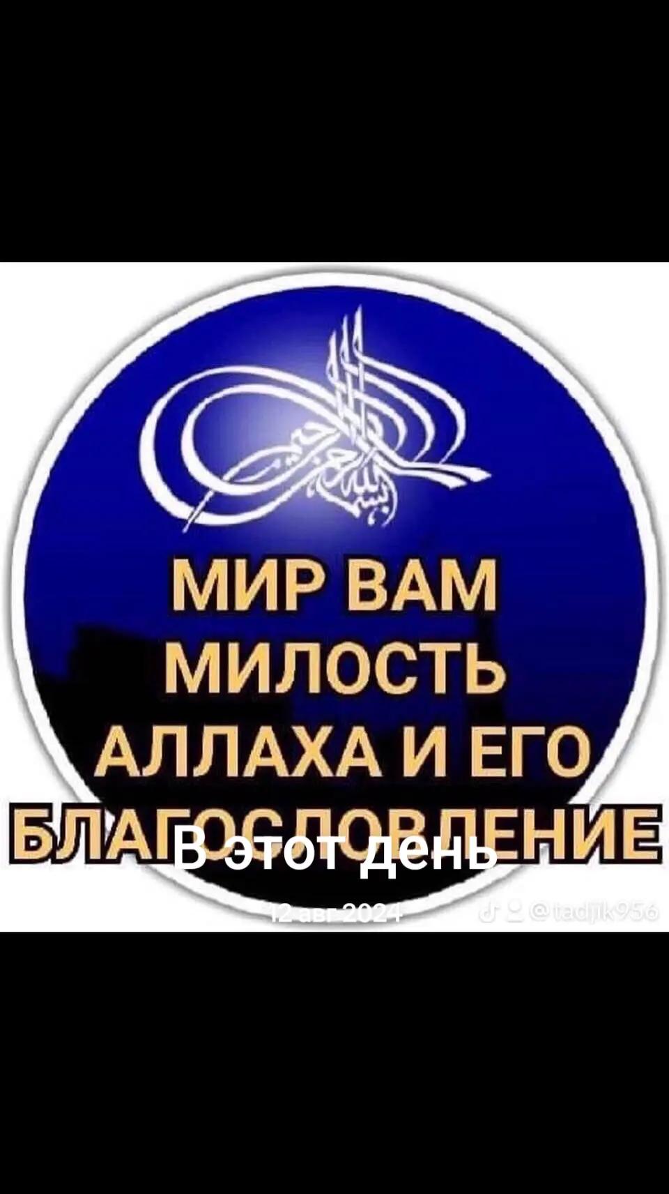 @tadjik 956